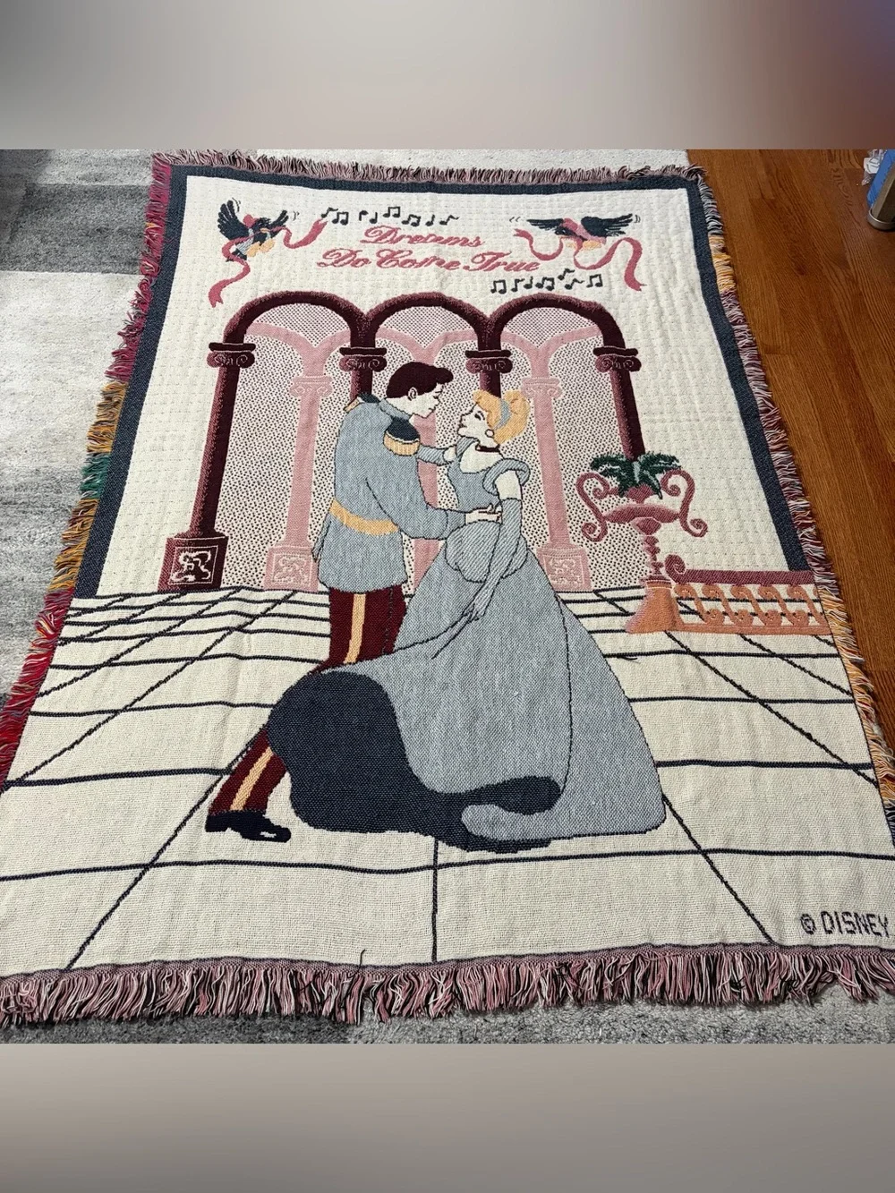 Vtg Disney Cinderella Woven Tapestry Blanket Throw Dreams Do Come True 90s Y2K